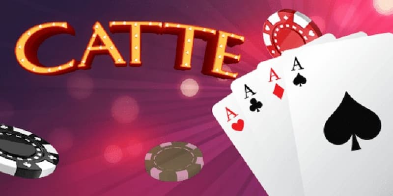 Catte về tìm hiểu tổng quan